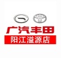 广汽丰田阳江溢源城南店公众号ico