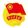 青春朝天ico