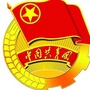 共青团大安区委ico