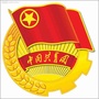 共青团凤冈ico