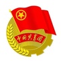 合肥市共青团ico