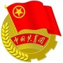 荔城团区委ico