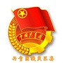 顺庆青年ico
