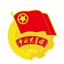 青春双阳ico