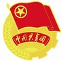 共青团文昌市委ico