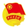 青春武汉ico