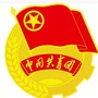 雨城青年ico