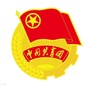 团禹王台区委ico