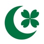 绿城华中公司ico