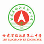 临洮二中ico