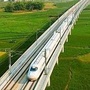 干杉镇铁路护路ico