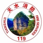 天水消防ico