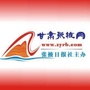 甘肃张掖网ico