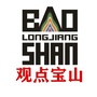 观点宝山ico