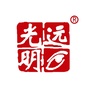 光明远ico