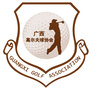 广西高协ico