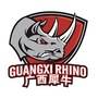 广西威壮篮球俱乐部ico