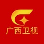 广西卫视ico