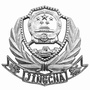 馆陶交警公众号ico