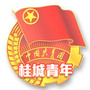 桂城青年ico