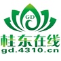 桂东在线ico