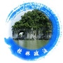 桂林政法ico
