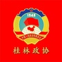 桂林政协ico
