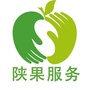 陕西果业服务中心ico