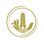 嘉善县古药师禅寺ico