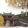 古镇上涌ico