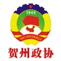 贺州政协ico