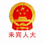 来宾人大ico