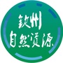 钦州自然资源ico