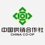 仙游供销ico