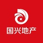 国兴滁州ico
