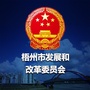 梧州市发改委ico