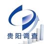 贵阳调查ico