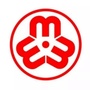 广元市妇联ico