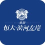 贵阳恒大滨河左岸ico