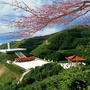 宁夏六盘山旅游ico