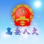高要人大ico