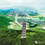 高要社工委ico