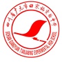 广元市实验中学ico