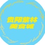 紫林美食城公众号ico