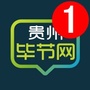 贵州毕节圈ico