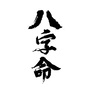 叮叮八字命公众号ico