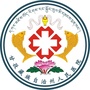 甘孜州人民医院卫生惠民工作室ico