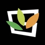 赣州经开区微新闻ico