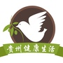 贵州健康生活ico