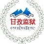 四川省甘孜监狱公众号ico